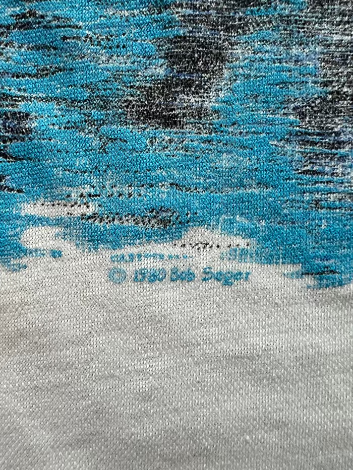 1980 Bob Seger & The Silver Bullet Band
